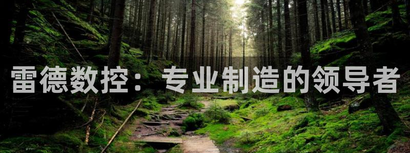 天辰臣娱乐