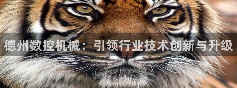 天辰娱乐 首选