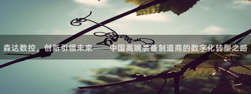 天辰娱乐平台登录账号