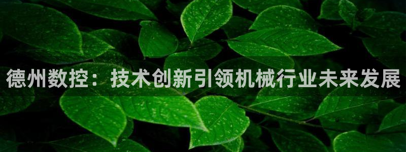 天辰娱乐appxi