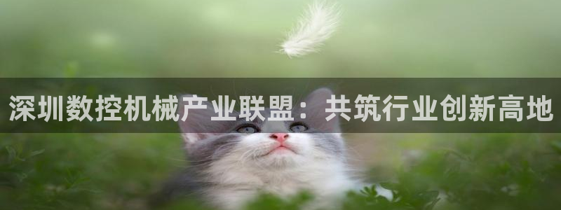 徐州天辰娱乐