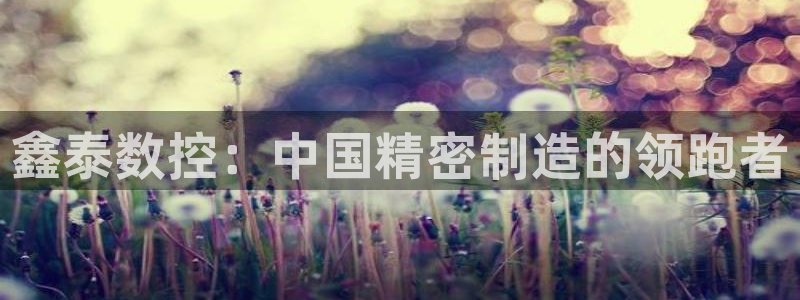 天辰娱乐53551