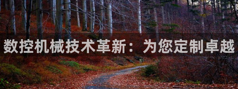天辰宝宝娱乐