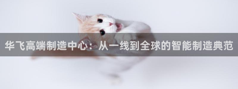 天富娱乐天辰娱乐