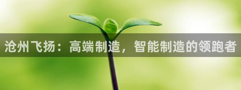 天辰娱乐登陆