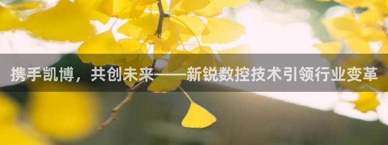 天辰娱乐39974神