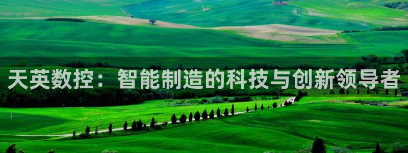 天辰娱乐挂机
