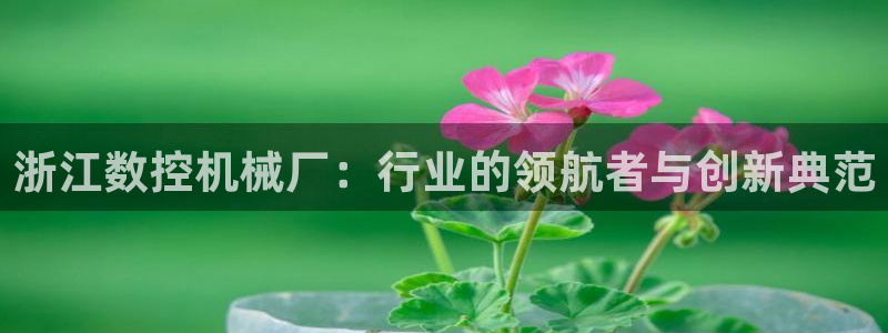 天辰娱乐直属