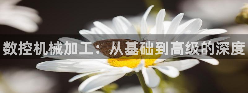 天辰娱乐解封