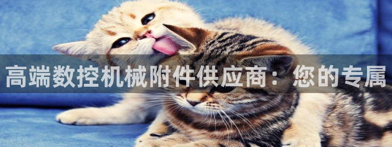 天辰国际娱乐