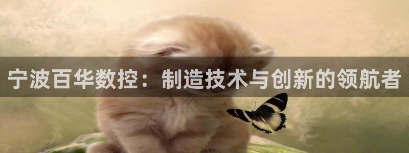 天辰娱乐娱乐平台