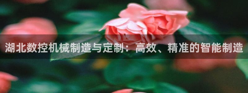 天辰娱乐平台注册