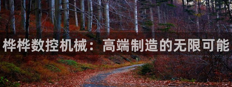 天辰娱乐上级