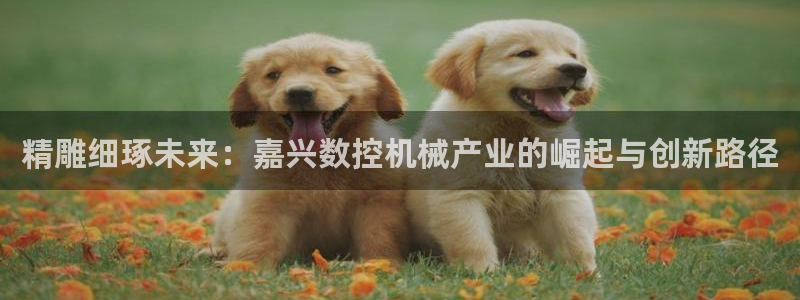 天辰娱乐棋牌
