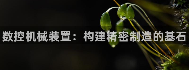 天辰娱乐平台地址在哪里