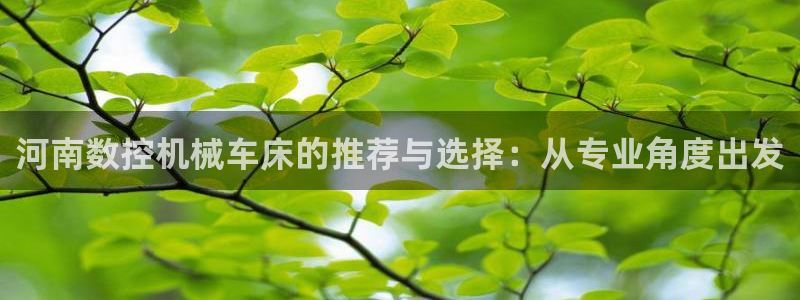 天辰娱乐游客