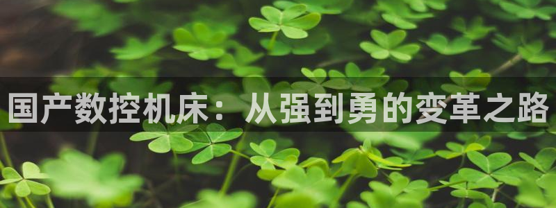 天辰娱乐黑人