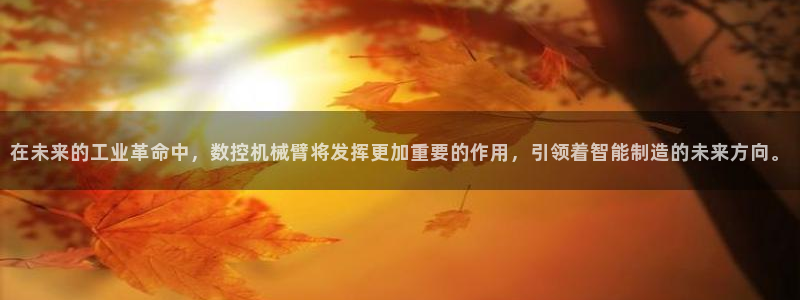 天辰娱乐 18113:在未来的工业革命中,数控机械臂将发挥更加重要的作用,引领着智能制造的未来方向。