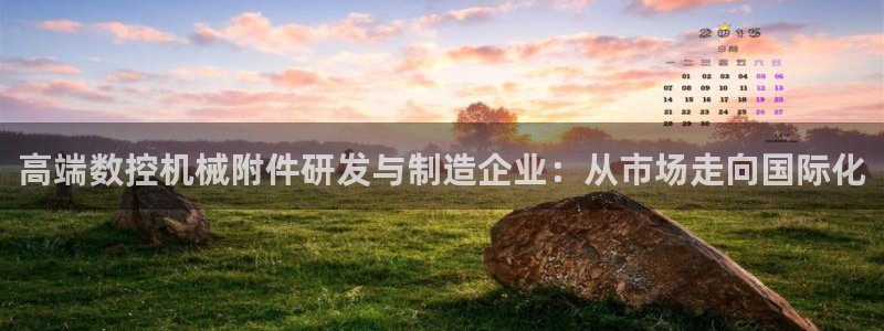 天辰彩票娱乐:高端数控机械附件研发与制造企业:从市场走向国际化