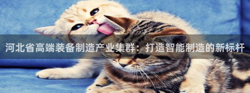 天辰娱乐557448