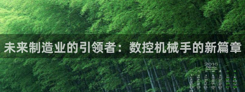 天辰娱乐老板