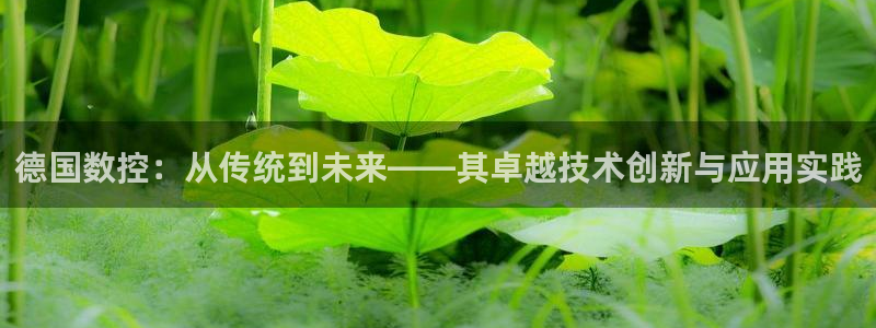 天辰娱乐所