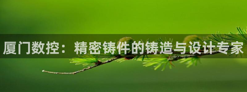 天辰娱乐新闻:厦门数控:精密铸件的铸造与设计专家