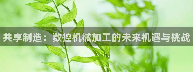 辰天娱乐:共享制造:数控机械加工的未来机遇与挑战