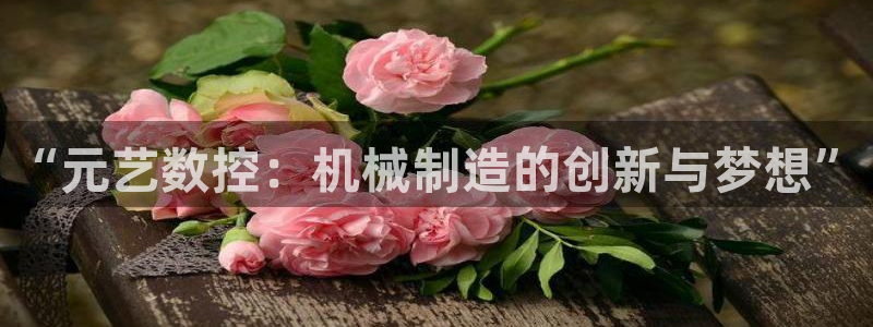 天辰娱乐指定