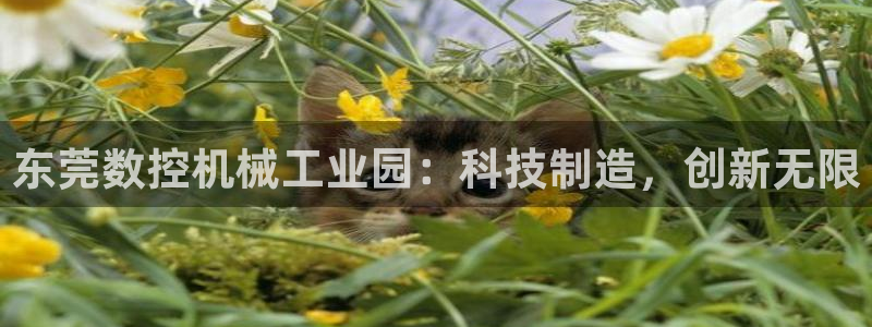 天辰 娱乐注册