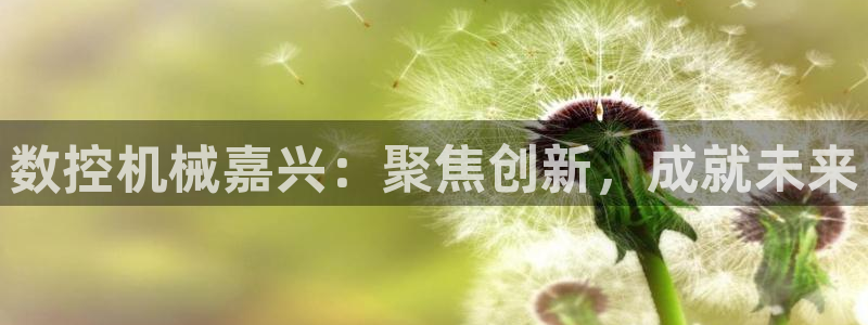 天富娱乐天辰娱乐