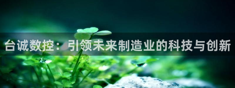 天辰团队贝高娱乐