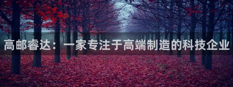 天辰娱乐服务