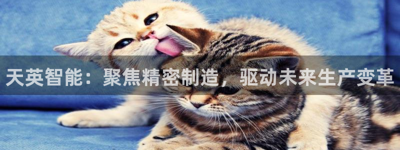 天辰娱乐平台娱乐注册