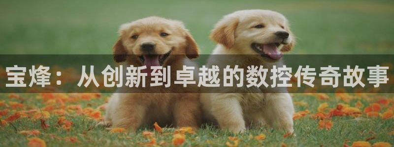 天辰娱乐娱乐平台