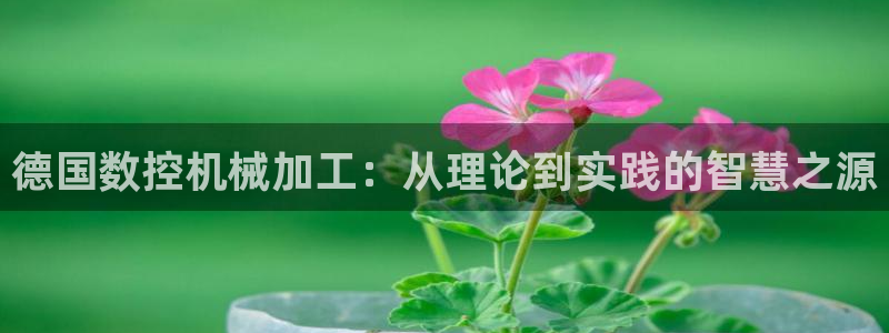 天辰娱乐解封