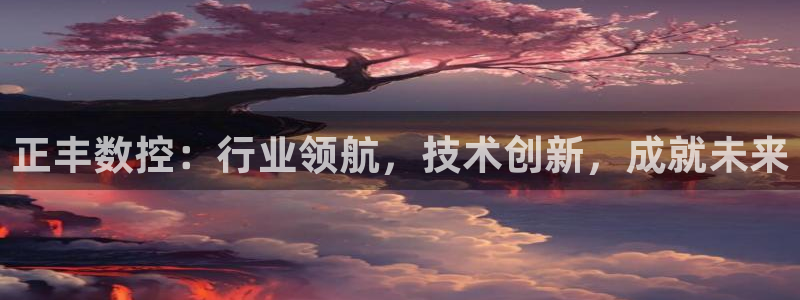 天辰娱乐会所：正丰数控：行业领航，技术创新，成就未来