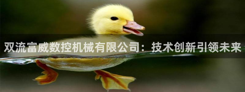 天辰娱乐在线登录注册：双流富威数控机械有限公司：技术创新引领未来