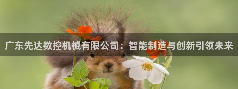 常州天辰娱乐