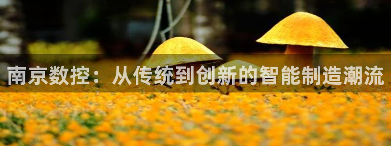 天辰娱乐675138