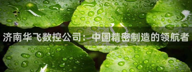 天辰娱乐首页:济南华飞数控公司:中国精密制造的领航者