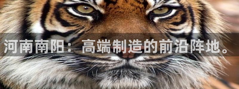 天辰娱乐登录网址