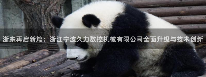 天辰娱乐股票:浙东再启新篇:浙江宁波久力数控机械有限公司全面升级与技术创新