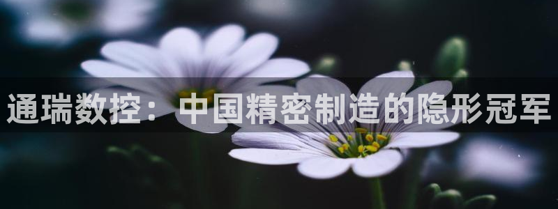 天辰娱乐下载