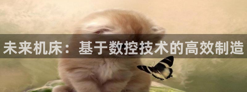 天辰娱乐ttf:未来机床:基于数控技术的高效制造