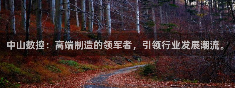 天辰娱乐平台注册:中山数控:高端制造的领军者,引领行业发展潮流。