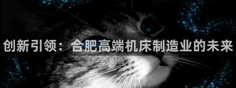 天辰娱乐官方:创新引领:合肥高端机床制造业的未来