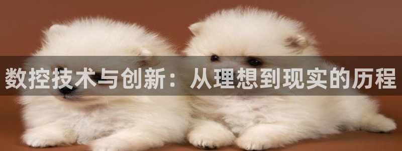 天辰娱乐ttf