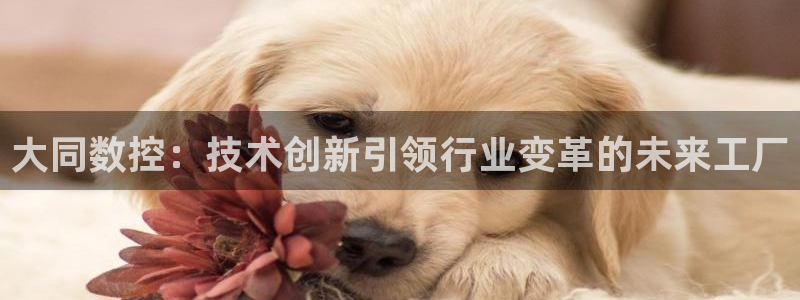 天辰娱乐39974神
