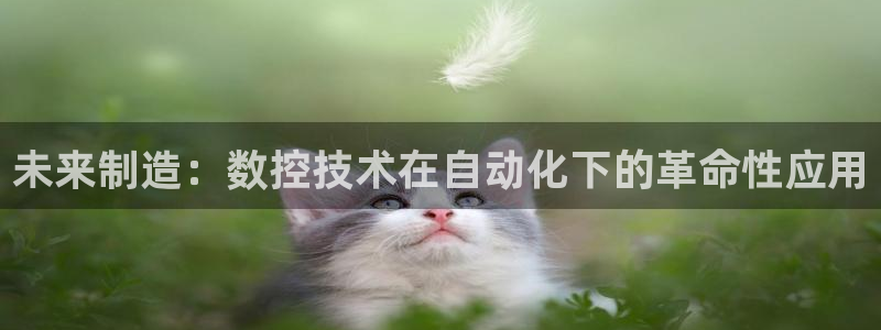 天辰娱乐 44516